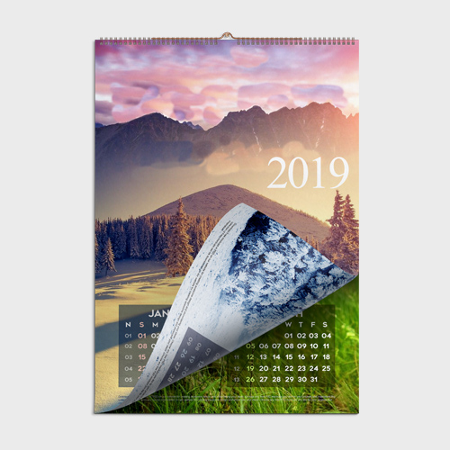 Wall Calendar (2022)